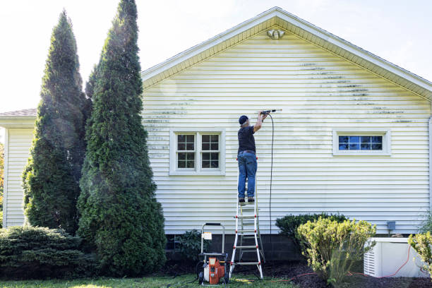 Best Sidewalk and Walkway Cleaning  in Nolanville, TX
